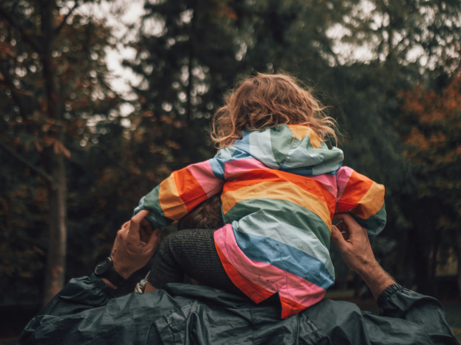 Ein Erwachsener trägt ein Kind auf den Schultern durch einen herbstlichen Wald, von hinten gesehen. Das Kind in einer bunt gestreiften Regenjacke schaut nach vorn in die Bäume, die Hände des Erwachsenen halten es an den Beinen fest.